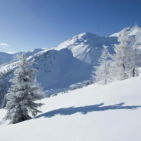 Ahornblick 1