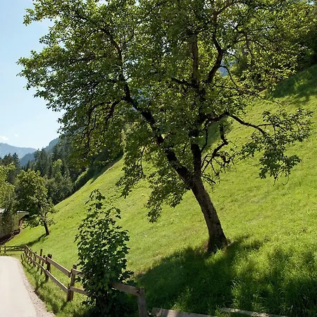 Apartmán Ahornblick 1