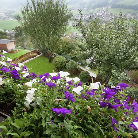 Ahornblick 1 *